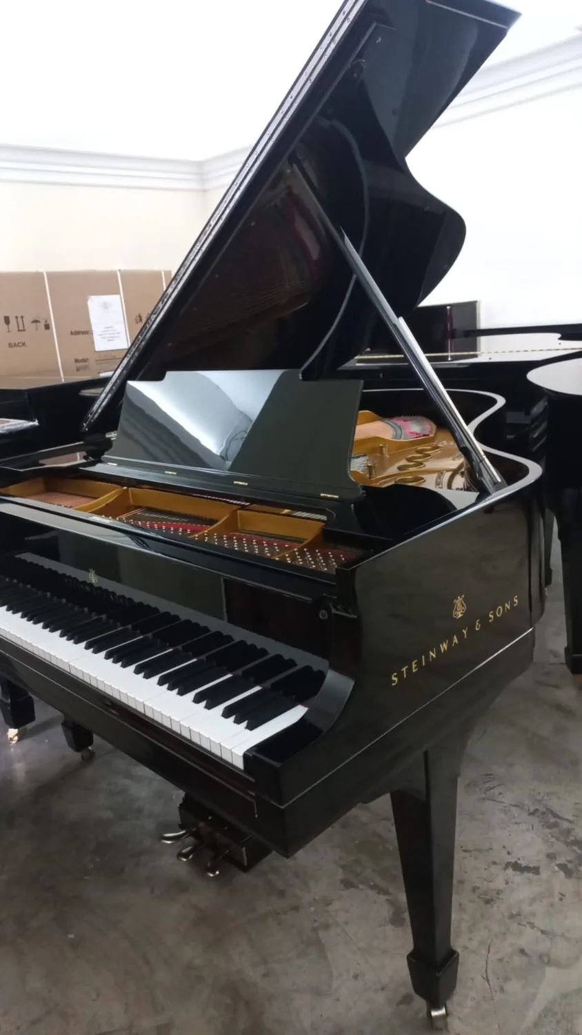 STEINWAY AND SONS · M 1/2 de cola