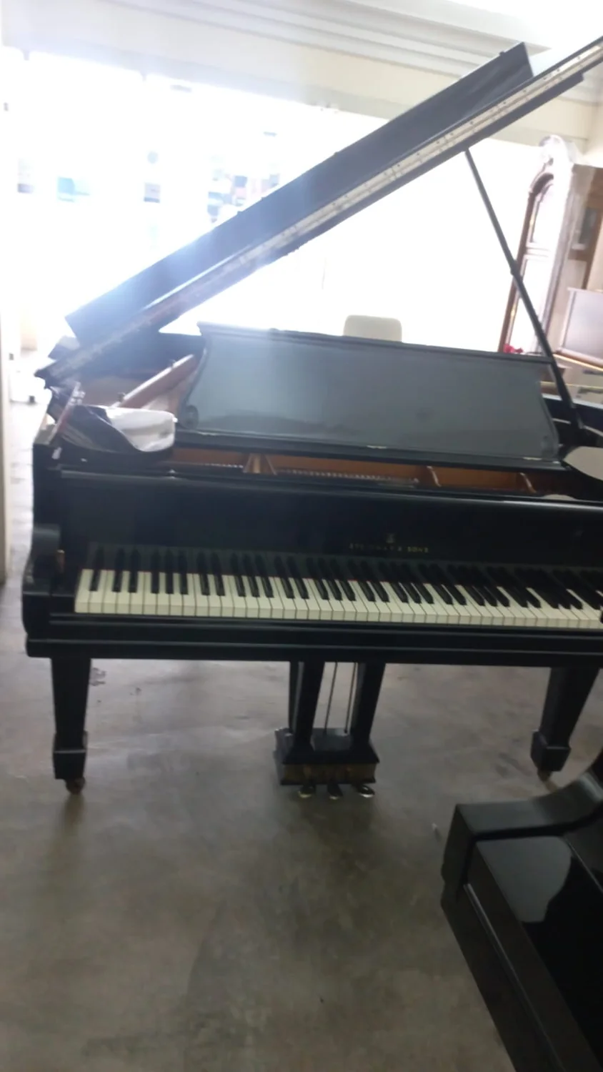 STEINWAY AND SONS · O 1/2 de cola
